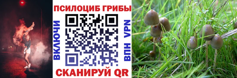Псилоцибиновые грибы прущие грибы  Калач 